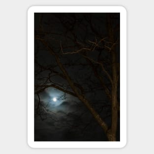 Full Moon Rising - 2 © Sticker